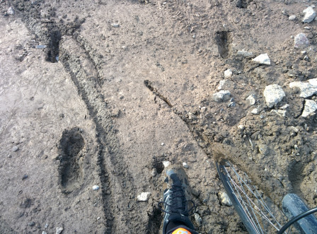 IMG_20170415_165155.jpg, nov. 2017 IMG_20170415_165155.jpg