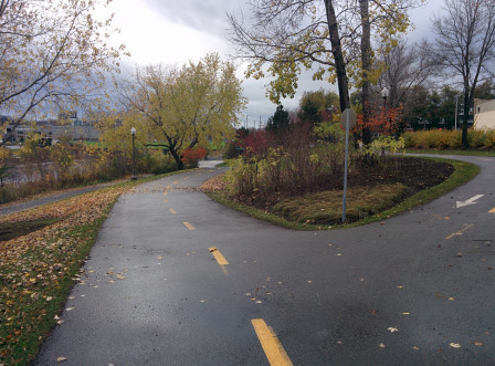 IMG_20171106_115321.jpg, nov. 2017 IMG_20171106_115321.jpg